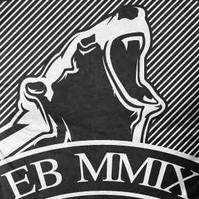 emil bulls
