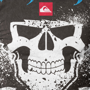 quiksilver teamrider1